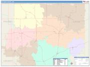Putnam <br /> Wall Map <br /> Color Cast Style 2025 Map