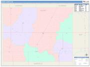 Grant <br /> Wall Map <br /> Color Cast Style 2025 Map