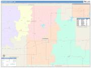 Okfuskee <br /> Wall Map <br /> Color Cast Style 2025 Map