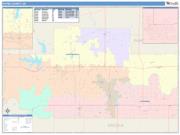 Payne <br /> Wall Map <br /> Color Cast Style 2025 Map