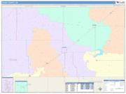 Texas <br /> Wall Map <br /> Color Cast Style 2025 Map