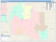 Tillman <br /> Wall Map <br /> Color Cast Style 2025 Map