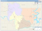 Wagoner <br /> Wall Map <br /> Color Cast Style 2025 Map