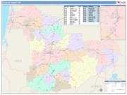 Douglas <br /> Wall Map <br /> Color Cast Style 2025 Map
