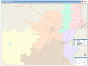 Polk <br /> Wall Map <br /> Color Cast Style 2025 Map