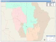 Wallowa <br /> Wall Map <br /> Color Cast Style 2025 Map