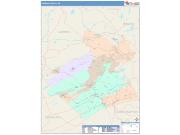 Carbon <br /> Wall Map <br /> Color Cast Style 2025 Map