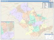Lehigh <br /> Wall Map <br /> Color Cast Style 2025 Map
