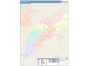 Mifflin <br /> Wall Map <br /> Color Cast Style 2025 Map