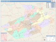 Schuylkill <br /> Wall Map <br /> Color Cast Style 2025 Map