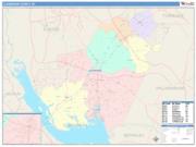 Clarendon <br /> Wall Map <br /> Color Cast Style 2025 Map