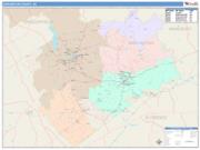 Darlington <br /> Wall Map <br /> Color Cast Style 2025 Map
