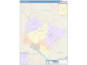 Laurens <br /> Wall Map <br /> Color Cast Style 2025 Map