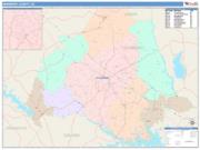 Newberry <br /> Wall Map <br /> Color Cast Style 2025 Map