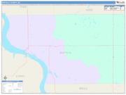 Buffalo <br /> Wall Map <br /> Color Cast Style 2025 Map
