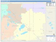 Codington <br /> Wall Map <br /> Color Cast Style 2025 Map
