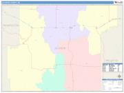 Jackson <br /> Wall Map <br /> Color Cast Style 2025 Map