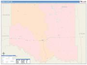 Jones <br /> Wall Map <br /> Color Cast Style 2025 Map