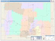 Minnehaha <br /> Wall Map <br /> Color Cast Style 2025 Map