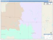 Sanborn <br /> Wall Map <br /> Color Cast Style 2025 Map