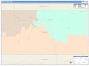 Todd <br /> Wall Map <br /> Color Cast Style 2025 Map