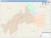 Chester <br /> Wall Map <br /> Color Cast Style 2025 Map