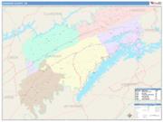 Grainger <br /> Wall Map <br /> Color Cast Style 2025 Map