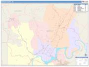 Marion <br /> Wall Map <br /> Color Cast Style 2025 Map
