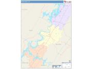 Meigs <br /> Wall Map <br /> Color Cast Style 2025 Map