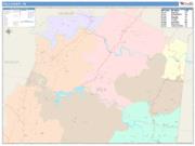 Polk <br /> Wall Map <br /> Color Cast Style 2025 Map