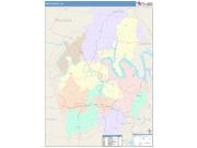 Smith <br /> Wall Map <br /> Color Cast Style 2025 Map