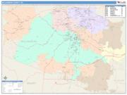 Williamson <br /> Wall Map <br /> Color Cast Style 2025 Map