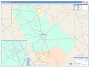 Bee <br /> Wall Map <br /> Color Cast Style 2025 Map