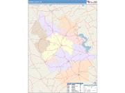 Bosque <br /> Wall Map <br /> Color Cast Style 2025 Map