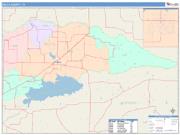 Delta <br /> Wall Map <br /> Color Cast Style 2025 Map