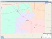 Dimmit <br /> Wall Map <br /> Color Cast Style 2025 Map