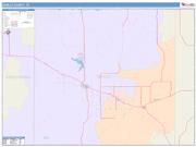 Donley <br /> Wall Map <br /> Color Cast Style 2025 Map