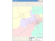 Ector <br /> Wall Map <br /> Color Cast Style 2025 Map
