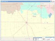 Gaines <br /> Wall Map <br /> Color Cast Style 2025 Map