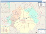 Guadalupe <br /> Wall Map <br /> Color Cast Style 2025 Map
