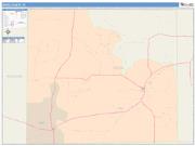Irion <br /> Wall Map <br /> Color Cast Style 2025 Map