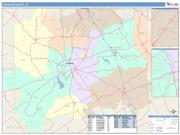 Johnson <br /> Wall Map <br /> Color Cast Style 2025 Map