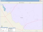 Loving <br /> Wall Map <br /> Color Cast Style 2025 Map