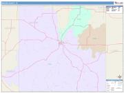 Mason <br /> Wall Map <br /> Color Cast Style 2025 Map