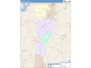 Newton <br /> Wall Map <br /> Color Cast Style 2025 Map