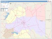 Panola <br /> Wall Map <br /> Color Cast Style 2025 Map