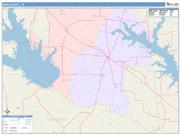 Rains <br /> Wall Map <br /> Color Cast Style 2025 Map
