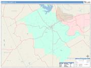 Somervell <br /> Wall Map <br /> Color Cast Style 2025 Map