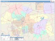 Williamson <br /> Wall Map <br /> Color Cast Style 2024 Map