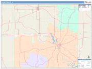 Young <br /> Wall Map <br /> Color Cast Style 2025 Map